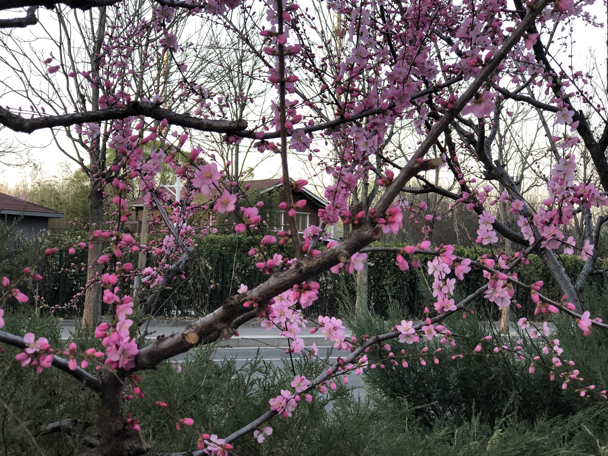 张桂芳纪念馆