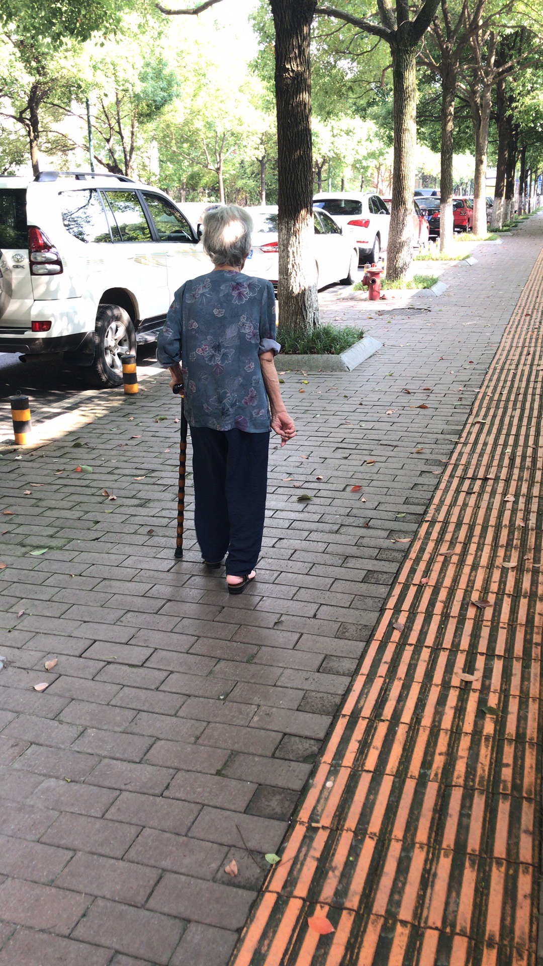 师母谈老太君纪念馆-师母谈老太君简介-悼念师母谈老太君-网上祭奠平台心纪奠