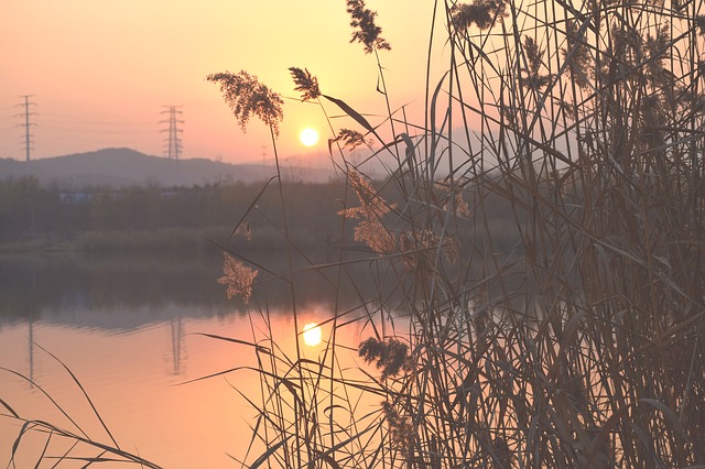 致老师追悼词