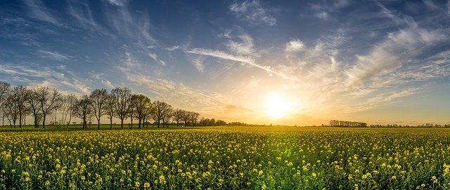 清明祭祀文化的传承与创新