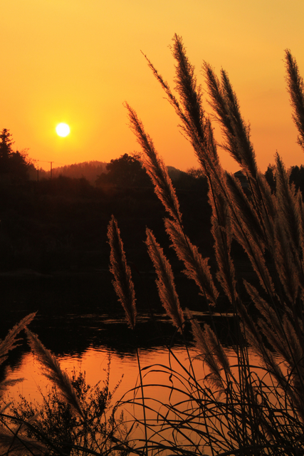祭祀用香习俗的起源