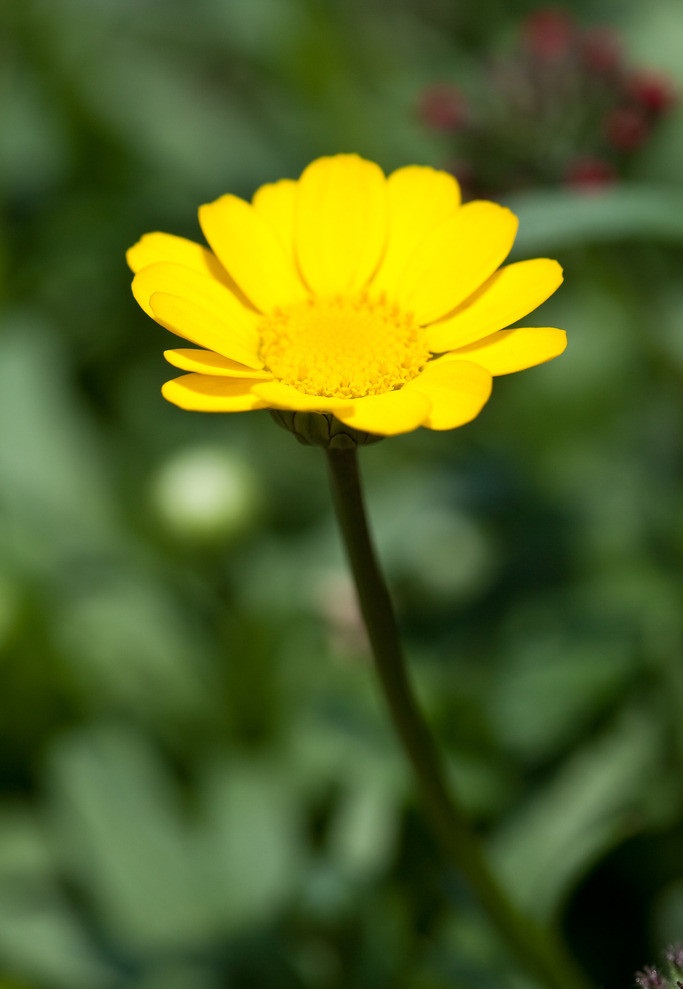 历朝历代的中秋节习俗