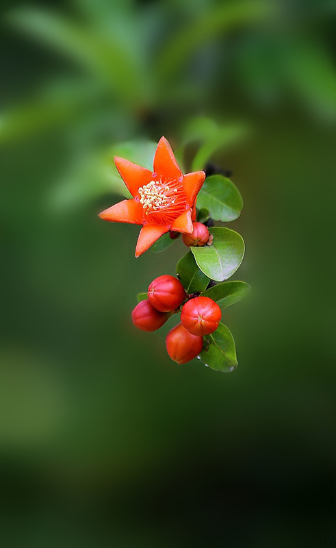 中秋节的习俗传说