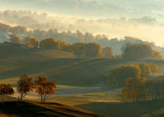 关于医生挽联精选