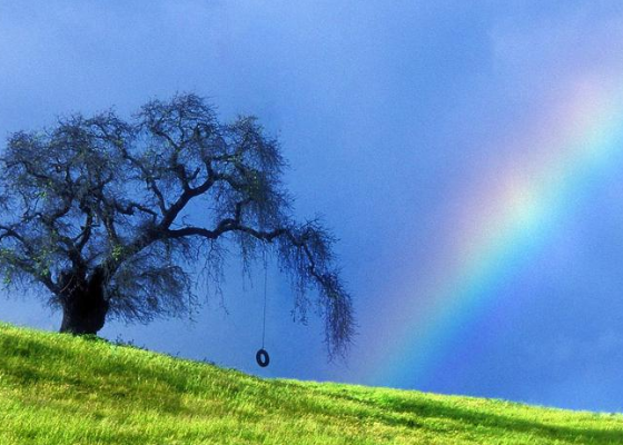 挽姊夫对联挽联