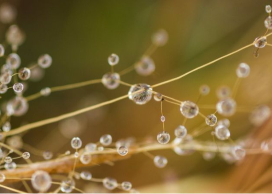 重阳节应该干嘛