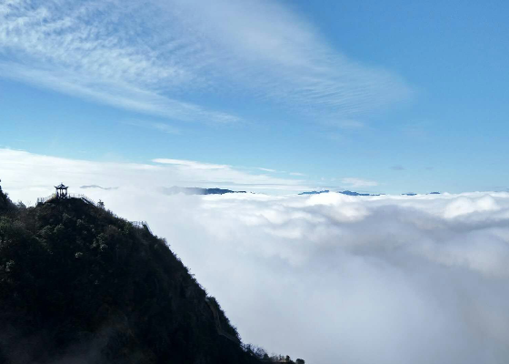 重阳节这天有什么风俗