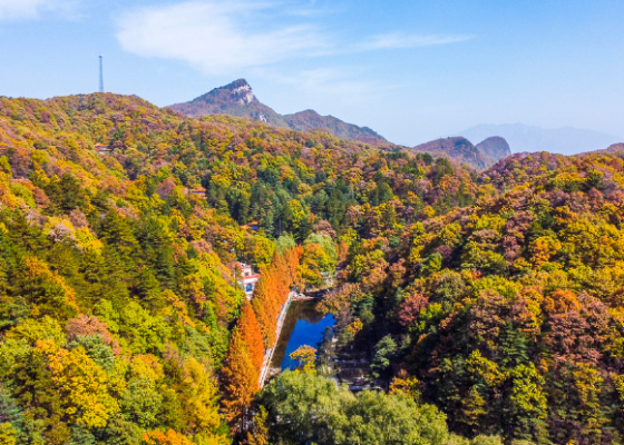 重阳节我们干什么