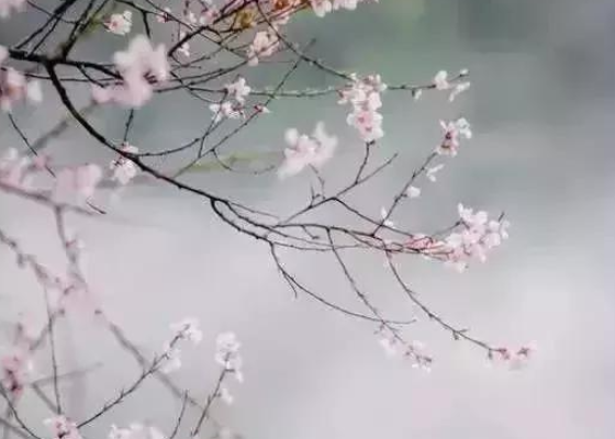 重阳节怎么庆祝