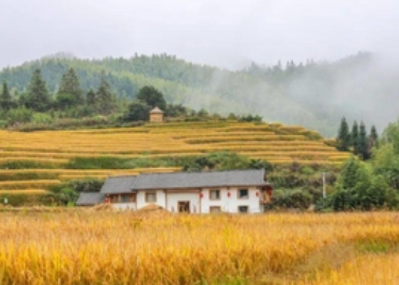 重阳节的节日风俗