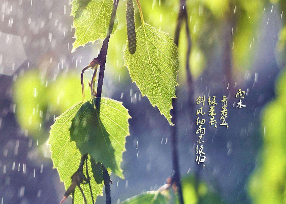 雨水:一个美丽而又富有人情味的暖心节气