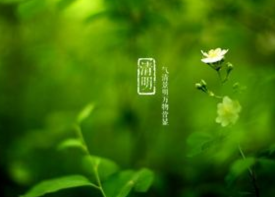 与清明节有关的诗词