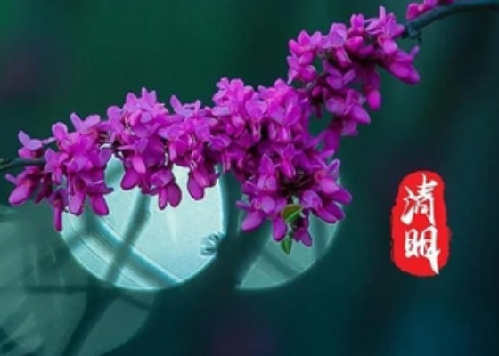 疫情清明节能扫墓吗？今年清明节可以扫墓吗？